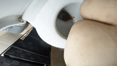 PrincessP - Morning Diarrhea