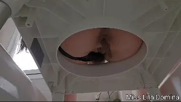 Miss Lith Domina Toilet Clips - Toilet Slave Double Dose of Dominance