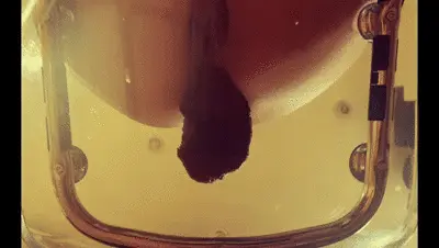 Aris Dark - Toilet POV transparent chair