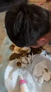 Chinese Scat Love - Cruel Queen Kicks the Bitch Wildly to Make Him Eat Feces from Diaper