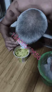 Chinese Scat Love - Cruel Mistress Ordered Toilet Slave Dog to Eat Instant Noodle with Diaper Full of Shits