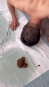 Chinese Scat Love - Sadistic Queen POV Films the Naked Toilet Slave Worshipping Her Shits on the Floor Before Licking an