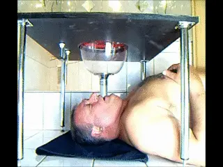 Lady Johanna Syrkay - Toilet chair 2