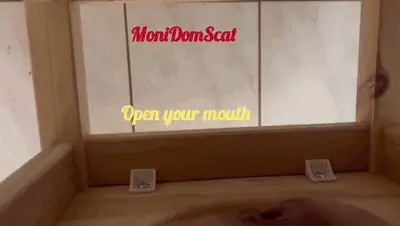 MoniDomScat - Open your mouth my slave!
