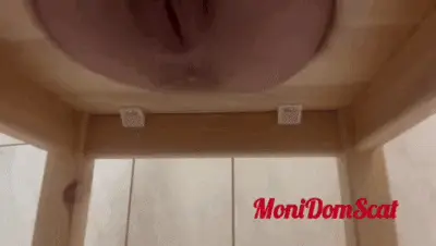 MoniDomScat - Daily fresh breakfast for you
