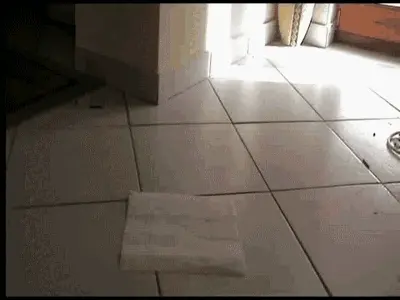 Natural Scat Girls - Pretty amateur chick shits on the toilet paper