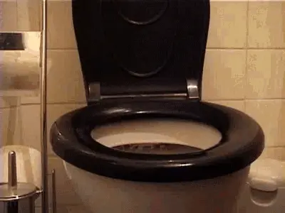 Natural Scat Girls - Amateur babe ride her toilet bowl