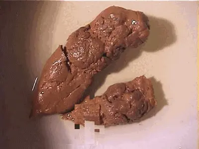 Natural Scat Girls - Amateur chick piss and shit in toilet