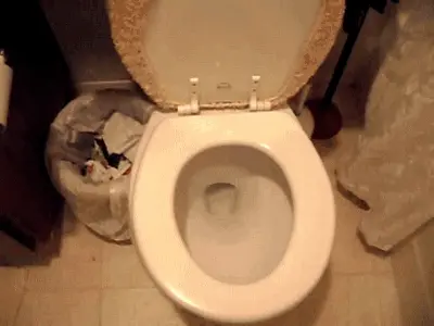 College Girls Extreme - College babe Demi shits in the toilet bowl