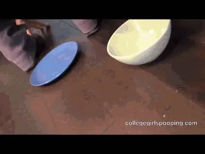 Two sexy college girls poop in the colour bowls (HD wmv video 1280x720 Pixels 5000 kb/s)