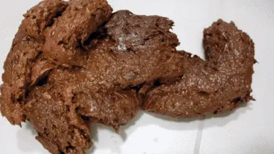Love to Shit Girls - Squatting Huge Poop