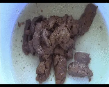Love to Shit Girls - 2 Messy Poops 4 u
