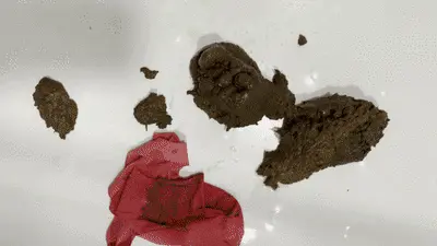 Love to Shit Girls - More Shit 4 U