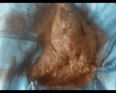 Love to Shit Girls - Poop My leggings