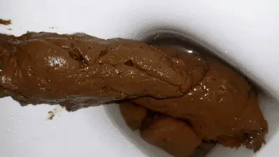 Love to Shit Girls - Under My Asshole Slave