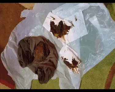 Love to Shit Girls - Pantyhose Loads