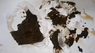 Love to Shit Girls - Ruined Huge Messy
