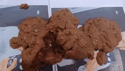 Love to Shit Girls - Huge Poop On Slaves Face