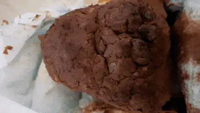 Love to Shit Girls - College Girl Diapered