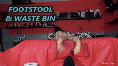 Mistress Gaia - MISTRESS GAIA - FOOTSTOOL & WASTE BIN - HD