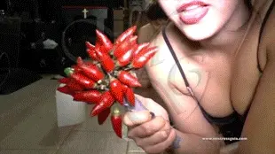 Mistress Gaia - MISTRESS GAIA - SPICY SHIT